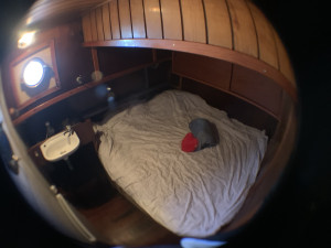 photo gallery image 01