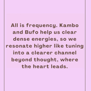 photo gallery image 01