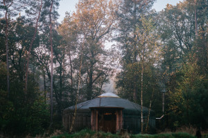 photo gallery image 01