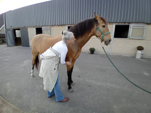 photo gallery image 01