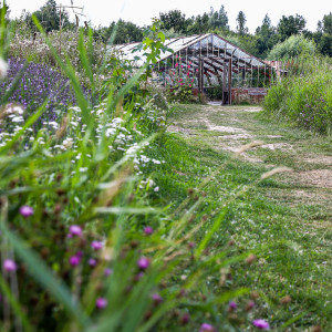 photo gallery image 01
