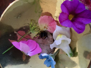 photo gallery image 01