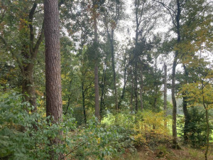 photo gallery image 01