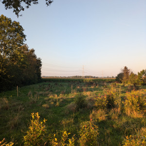 photo gallery image 01