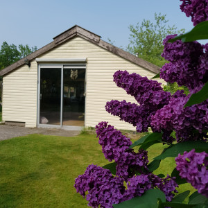 photo gallery image 01