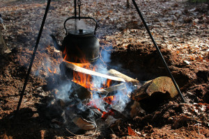 photo gallery image 01