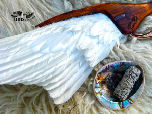 photo gallery image 01