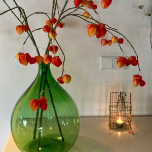 photo gallery image 01