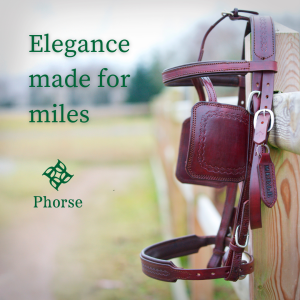 photo gallery image 01