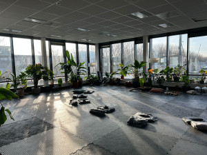 photo gallery image 01