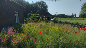 photo gallery image 01