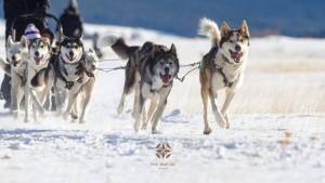 photo gallery image 01