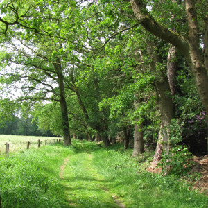 photo gallery image 01