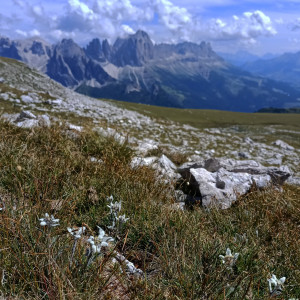 photo gallery image 01