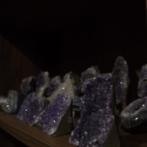 photo gallery image 01