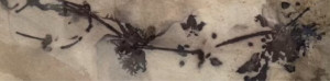 photo gallery image 01