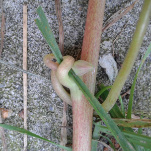 photo gallery image 01