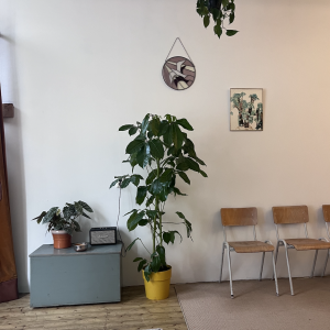 photo gallery image 01