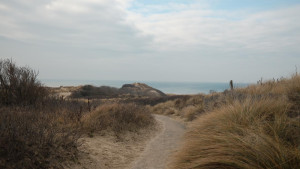 photo gallery image 01