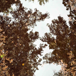 photo gallery image 01