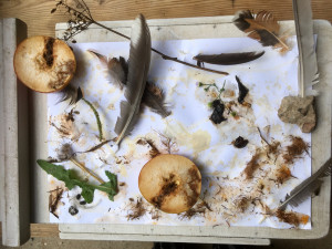 photo gallery image 01