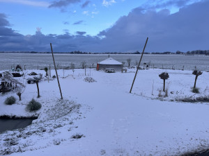 photo gallery image 01