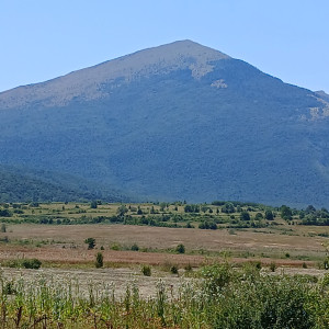 photo gallery image 01