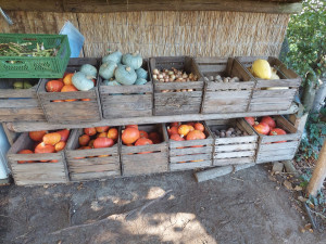 photo gallery image 01