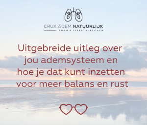 photo gallery image 01