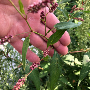 photo gallery image 01
