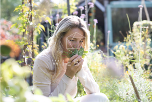 photo gallery image 01