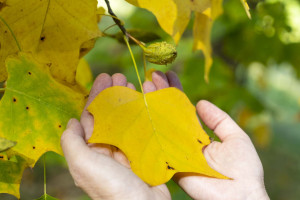 photo gallery image 01