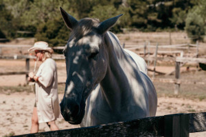 photo gallery image 01