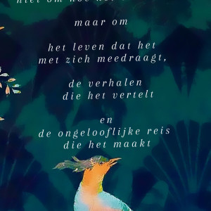 photo gallery image 01