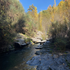 photo gallery image 01