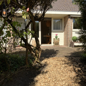 photo gallery image 01