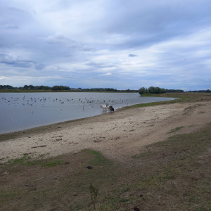 photo gallery image 01