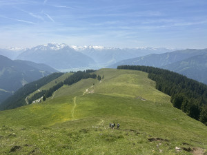 photo gallery image 01