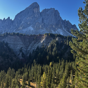 photo gallery image 01