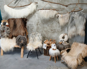 photo gallery image 01