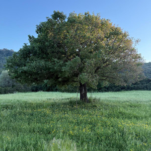 photo gallery image 01