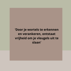photo gallery image 01