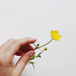 photo gallery image 01