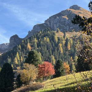 photo gallery image 01