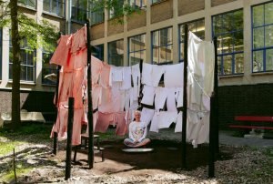 photo gallery image 01