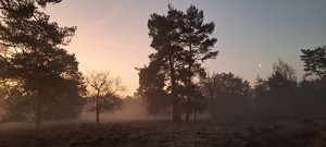 photo gallery image 01