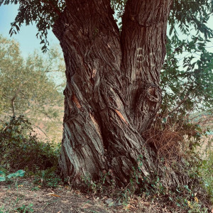 photo gallery image 01