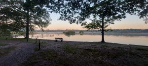photo gallery image 01
