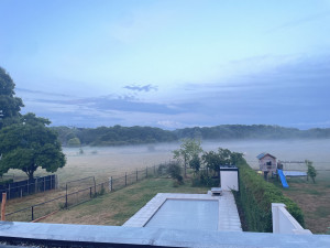photo gallery image 01