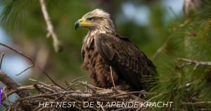 photo gallery image 01